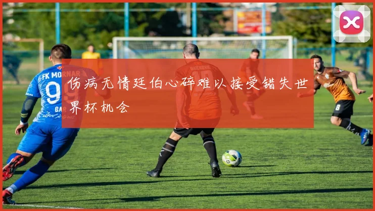 伤病无情廷伯心碎难以接受错失世界杯机会
