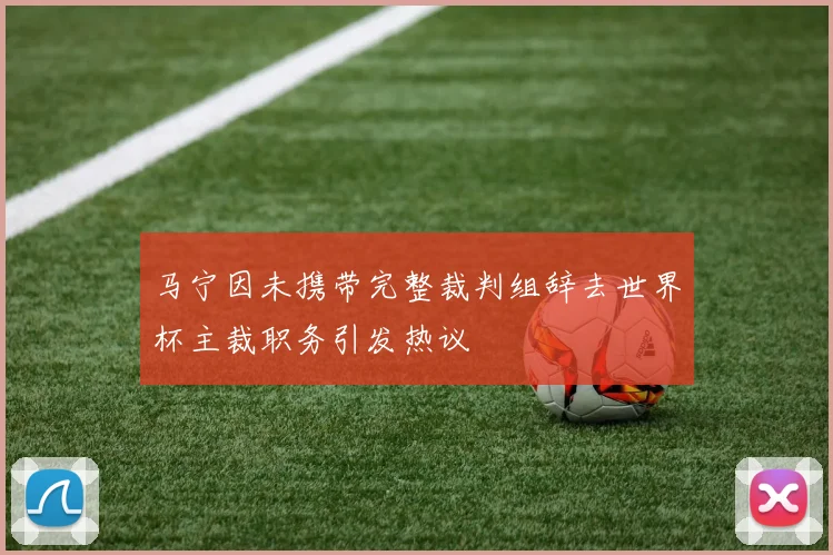 马宁因未携带完整裁判组辞去世界杯主裁职务引发热议